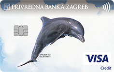 Visa Classic kreditna kartica [charge]